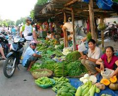 Bất động sản tại Bình Dương - ảnh 1