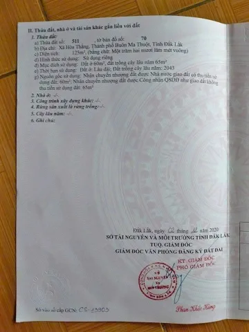 Bất động sản tại Đắk Lắk - ảnh 1