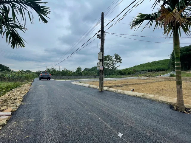 Bất động sản tại Phú Thọ - ảnh 1