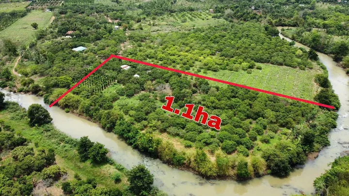 Bất động sản tại Đắk Lắk - ảnh 1