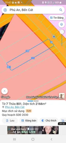 Bất động sản tại Bình Dương - ảnh 1