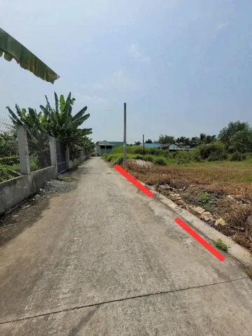 Bất động sản tại Long An - ảnh 1