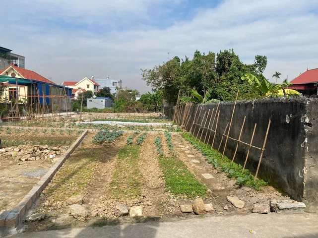 Bất động sản tại Hải Phòng - ảnh 1