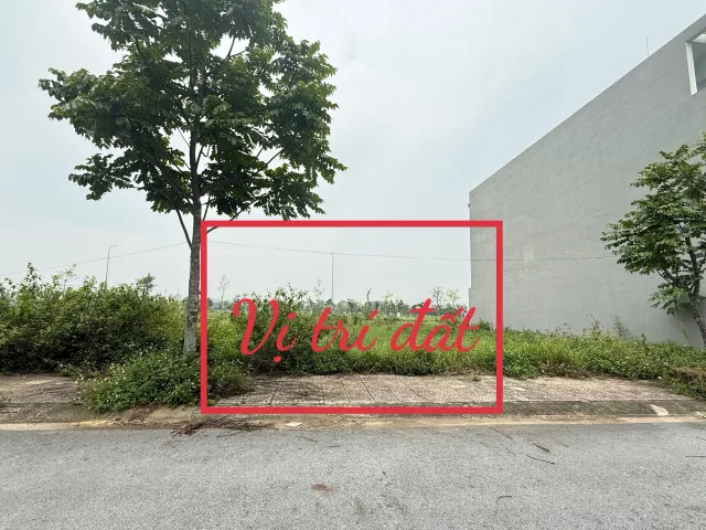 Bất động sản tại Phú Thọ - ảnh 1