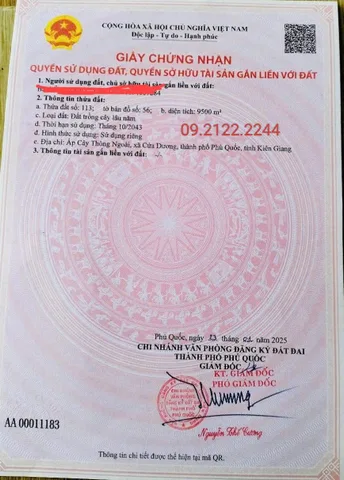Bất động sản tại Kiên Giang - ảnh 1
