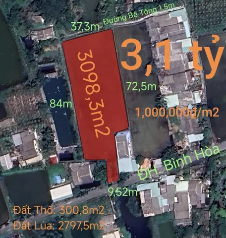 Bất động sản tại Long An - ảnh 1