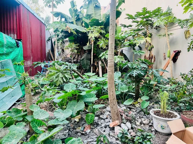 Bất động sản tại Hải Phòng - ảnh 1