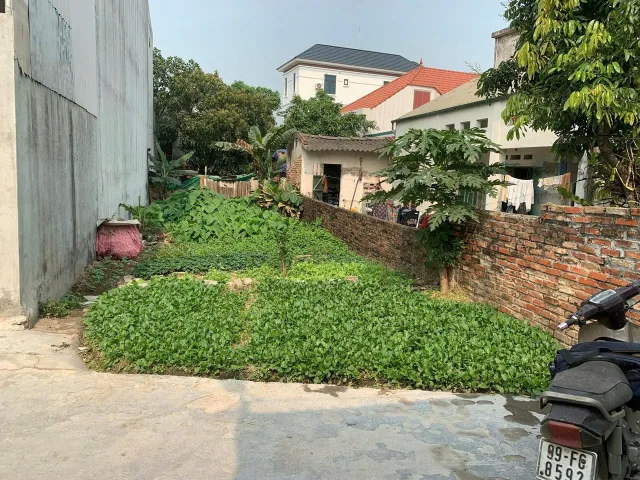 Bất động sản tại Hải Phòng - ảnh 1
