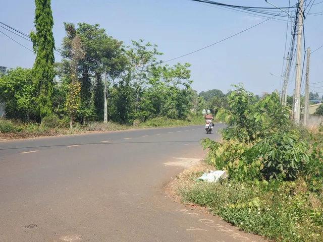 Bất động sản tại Đắk Lắk - ảnh 1