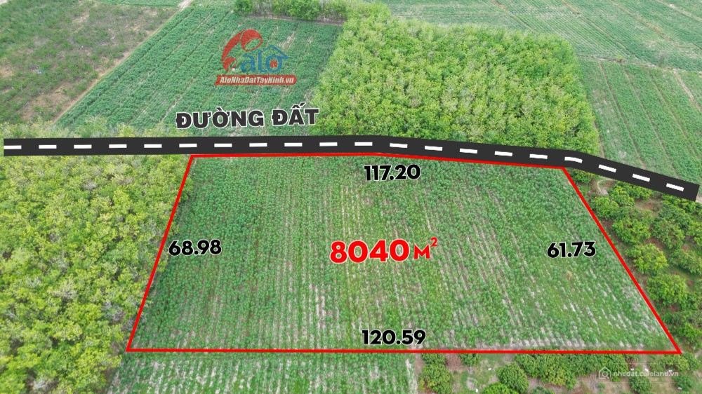 Bất động sản tại Tây Ninh - ảnh 1
