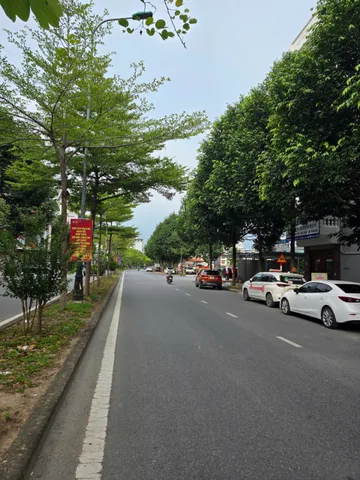 Bất động sản tại Bắc Ninh - ảnh 1