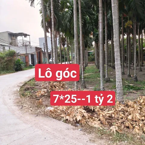 Bất động sản tại Tây Ninh - ảnh 1