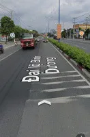 Bất động sản tại Bình Dương - ảnh 1