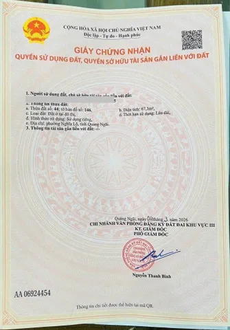 Bất động sản tại Quảng Ngãi - ảnh 1