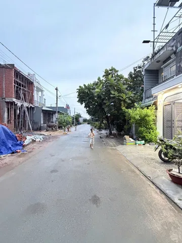 Bất động sản tại Long An - ảnh 1