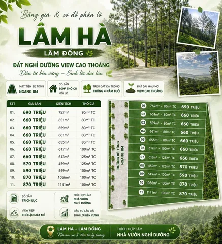Bất động sản tại Lâm Đồng - ảnh 1
