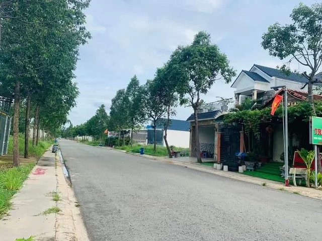 Bất động sản tại Bình Dương - ảnh 1