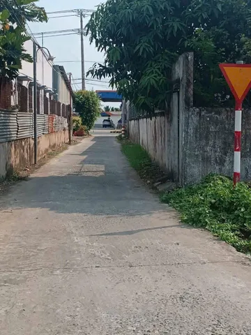 Bất động sản tại Long An - ảnh 1
