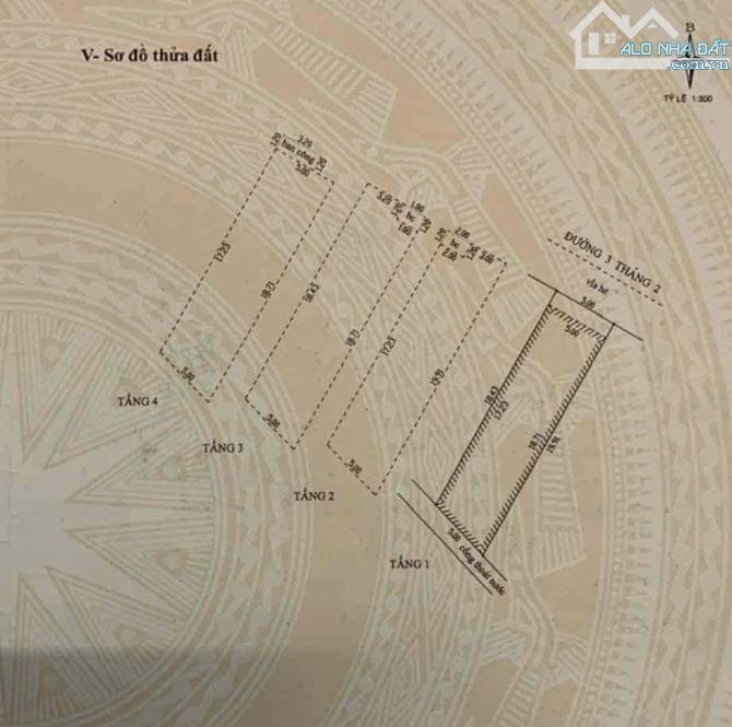 Bất động sản tại Đà Nẵng - ảnh 1