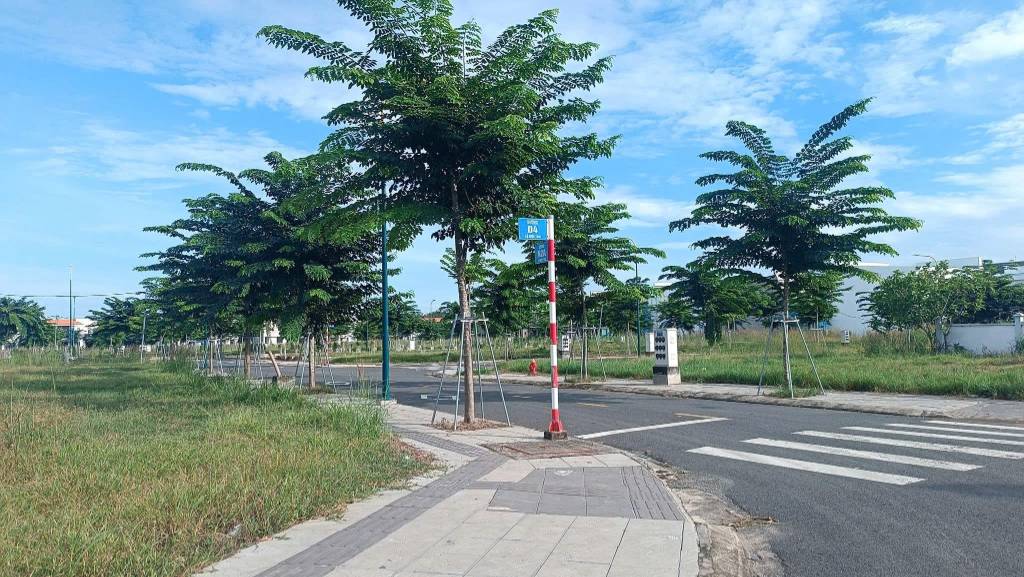 Bất động sản tại Bình Dương - ảnh 1