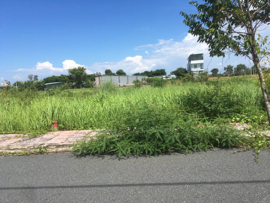Bất động sản tại Long An - ảnh 1