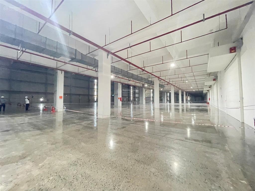 Bất động sản tại Bình Phước - ảnh 1