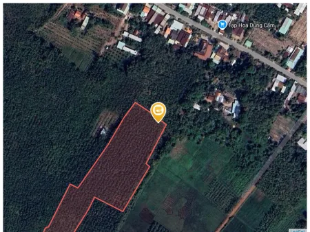 Bất động sản tại Bình Dương - ảnh 1