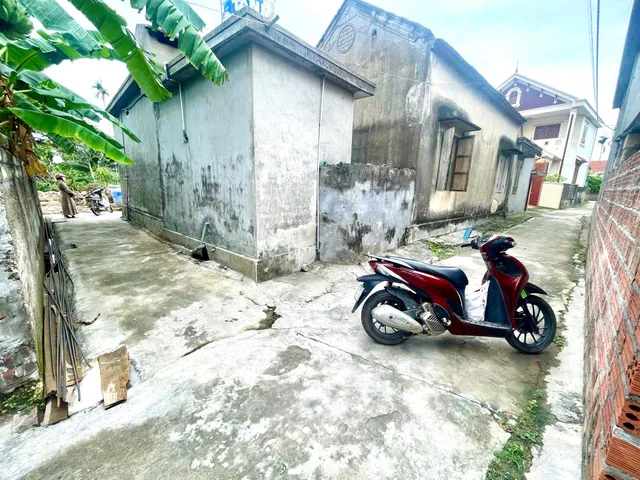 Bất động sản tại Hải Phòng - ảnh 1