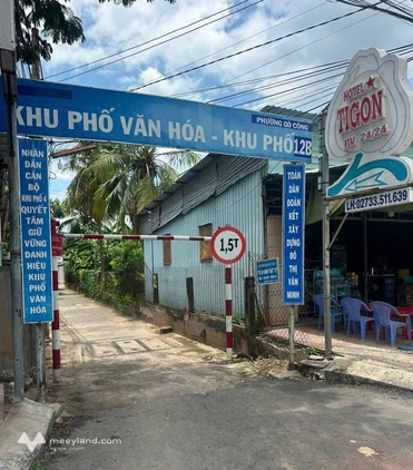 Bất động sản tại Tiền Giang - ảnh 1
