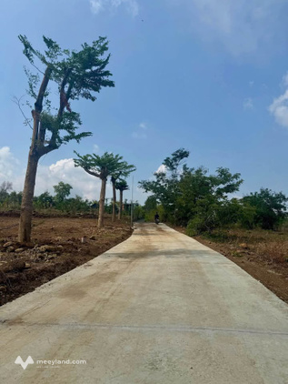 Bất động sản tại Đắk Lắk - ảnh 1