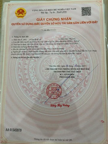Bất động sản tại Bình Dương - ảnh 1