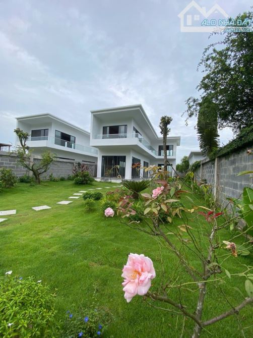 Bất động sản tại Bà Rịa - Vũng Tàu - ảnh 1