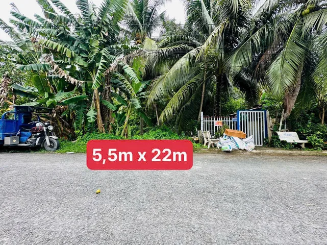 Bất động sản tại Vĩnh Long - ảnh 1