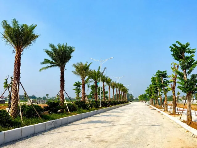 Bất động sản tại Phú Thọ - ảnh 1