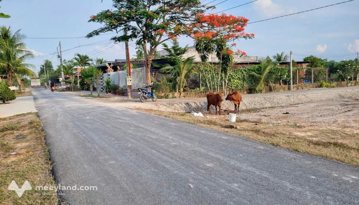 Bất động sản tại Tây Ninh - ảnh 1