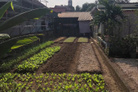 Bất động sản tại Hòa Bình - ảnh 1