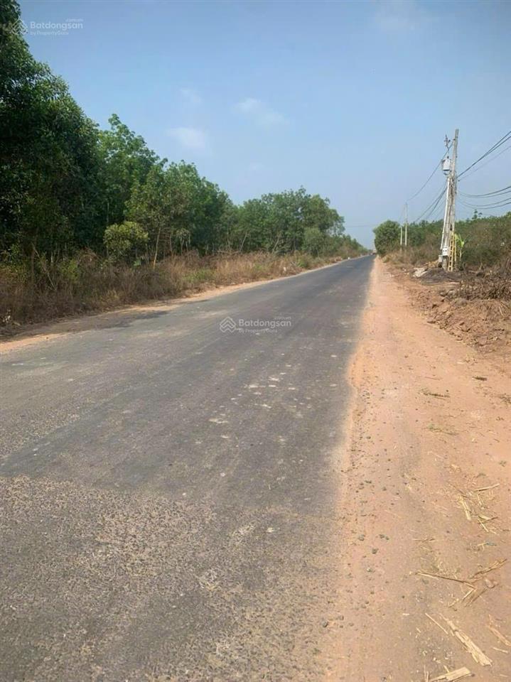 Bất động sản tại Tây Ninh - ảnh 1