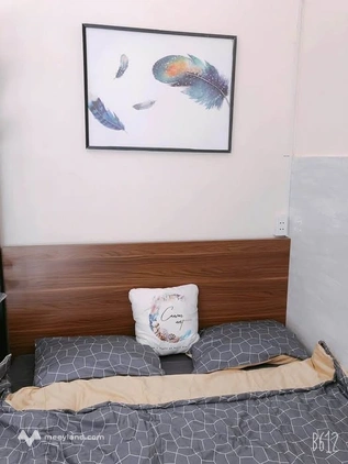 Bất động sản tại Đà Nẵng - ảnh 1