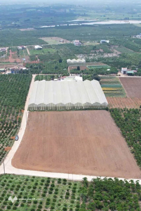 Bất động sản tại Lâm Đồng - ảnh 1