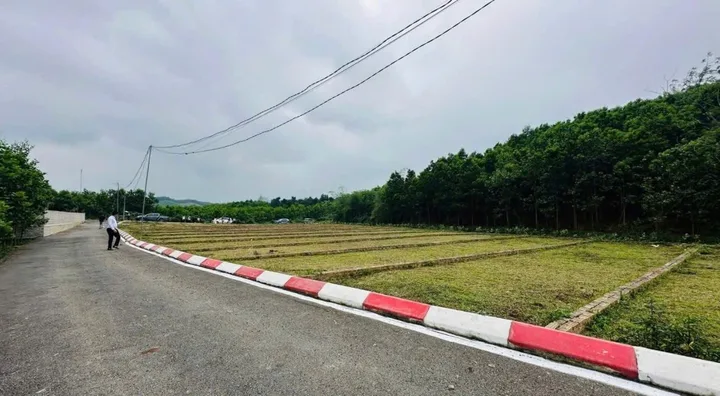 Bất động sản tại Phú Thọ - ảnh 1