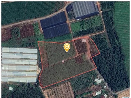 Bất động sản tại Bình Dương - ảnh 1