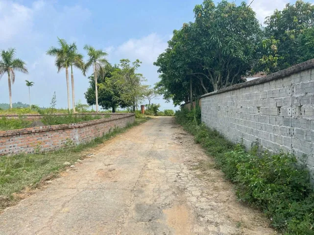 Bất động sản tại Phú Thọ - ảnh 1