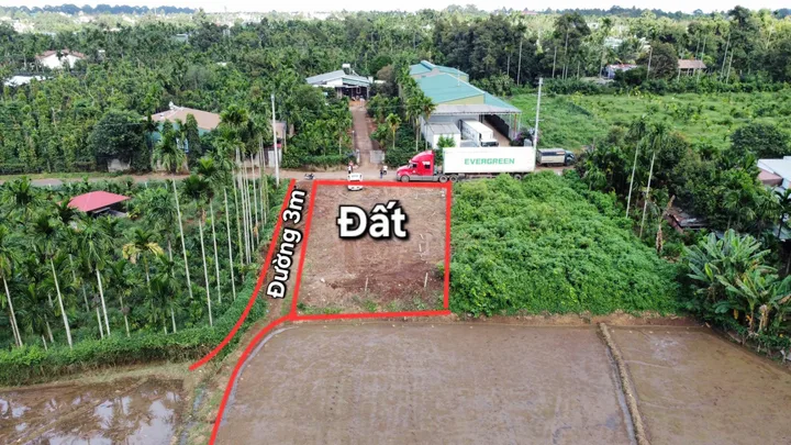 Bất động sản tại Đắk Lắk - ảnh 1