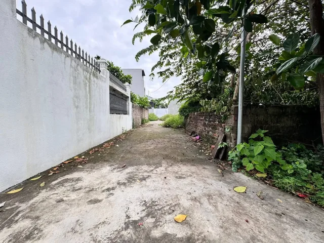 Bất động sản tại Hải Phòng - ảnh 1