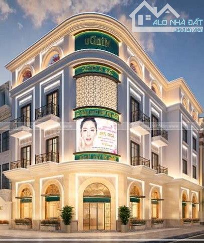 Bất động sản tại Đà Nẵng - ảnh 1