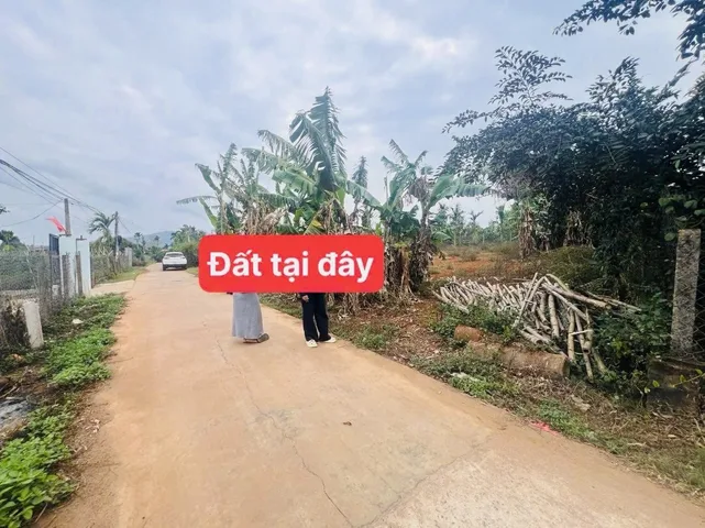 Bất động sản tại Đắk Lắk - ảnh 1