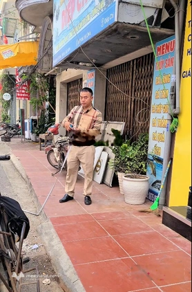 Bất động sản tại Bắc Ninh - ảnh 1