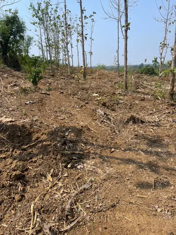 Bất động sản tại Đắk Lắk - ảnh 1