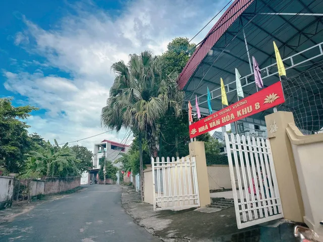 Bất động sản tại Phú Thọ - ảnh 1