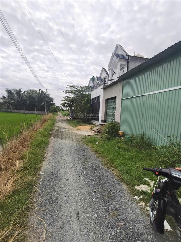 Bất động sản tại Long An - ảnh 1